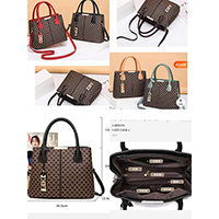 Ladies Handbag
